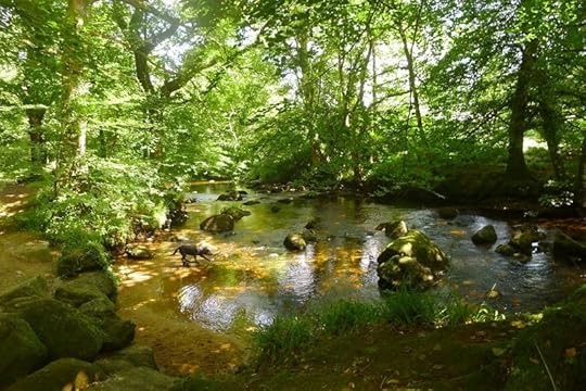 River 7