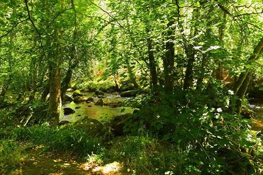 River 12