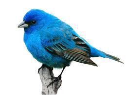 twitter 12
