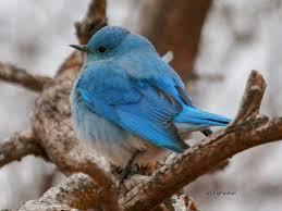 tweet 8