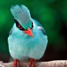 twitter 10