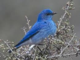 twitter 11