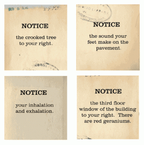 From Keri Smith's The Guerrilla Art Kit