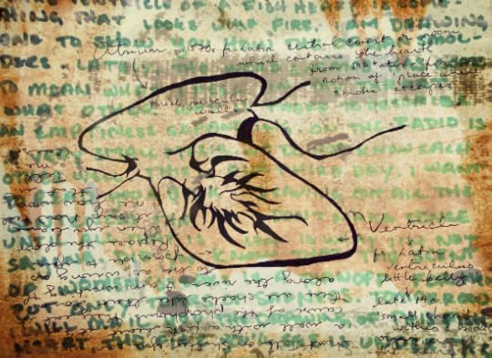 Notes and a fish heart diagram drawn with a shaky hand.