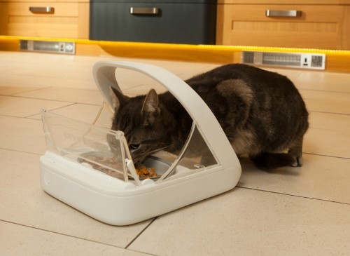 microchip-feeder