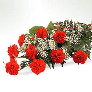fnp.in-ftd06