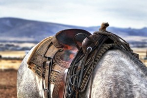 saddle-419745_1280
