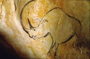 rock Rhinocéros_grotte_Chauvet