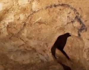 rock bison, Coliboaia Cave, Romania