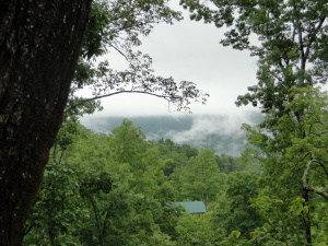 Smokies1