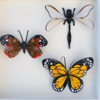 three quilled butterflies