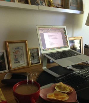 Idag fanns bara skalkarna kvar, så jag gjorde TVÅ syltmackor. En med rabarbersylt, en med Nathalie´s goda mangomarmelad (länk i blogginlägget).