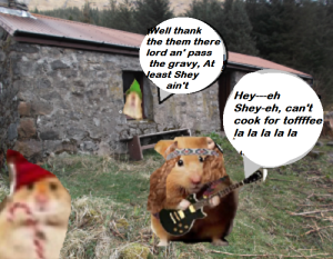 zmed-bbbbbbbubb290909