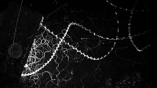 AUG15_14_hbr_nguyen_img_007