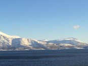 IMG_1269
