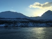 IMG_1293
