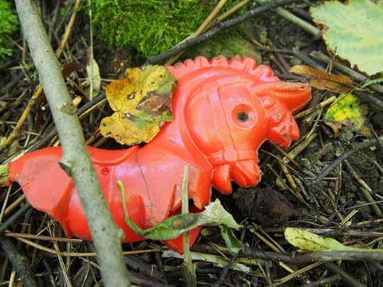 OLYMPUS DIGITAL CAMERA