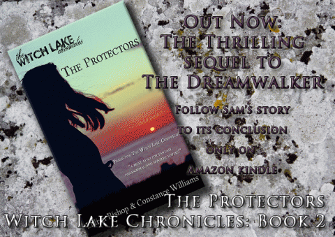 the protectors part two witch lake chronicles young adult paranormal fiction book