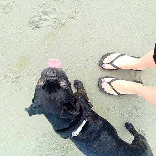 11850122_1041098192568033_292719211_n