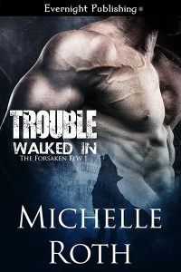 Troublewalkedin-evernightpublishing-jayAheer2015-smallpreview