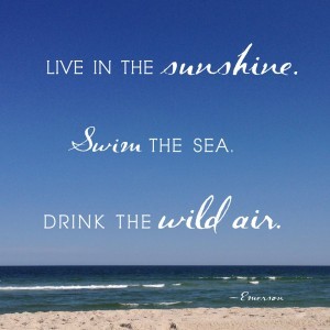 Live in the sunshine