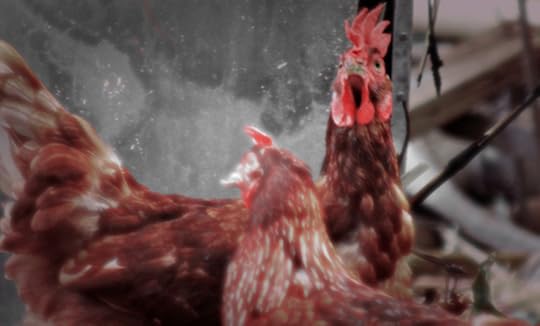 photo 11 day 18 edge and 19 double 024 tu