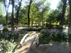 Free Things to do in Shenyang - Zhong Shan Gong Yuan - Survive Travel