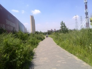 Free Things to do in Shenyang - Getting to the Liaoning Provincial Musuem - Survive Travel (1)