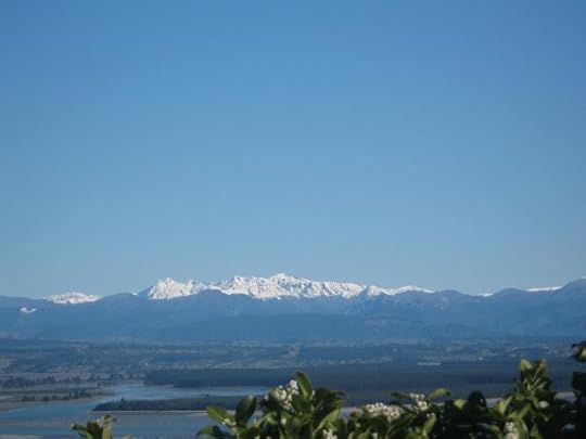 Nelson_08_15 003a