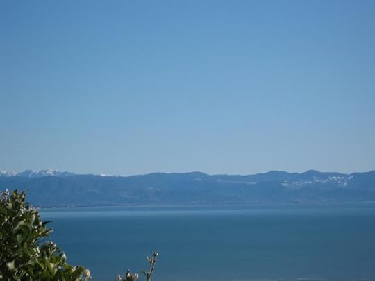 Nelson_08_15 002a