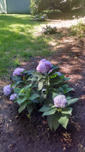 Planting living things of beauty can provide soul-cleansing activity as well as being a fitting memorial to a deceased loved one. 