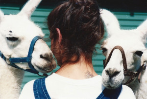 B67ABD0E-66D3-4B2C-9EB7-139D3DEA17B4-2