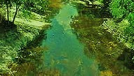 alapaha river motif