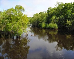 alapaha river