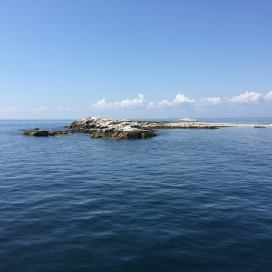 isleoshoal1