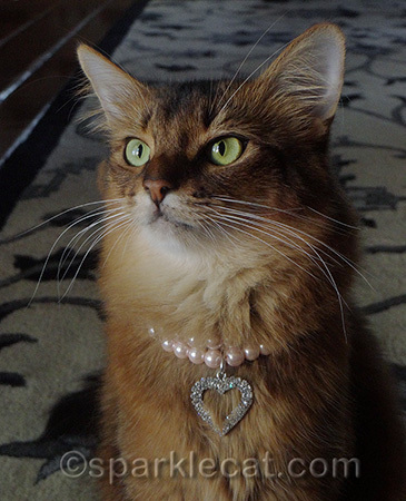 Yep, she held the treat a little more camera left!
