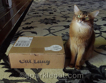 I'm actually holding this box hostage until I get a treat!