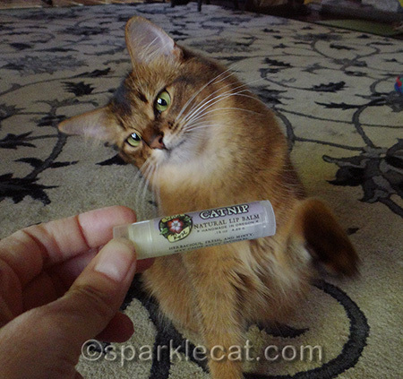 You can put this on MY lips!