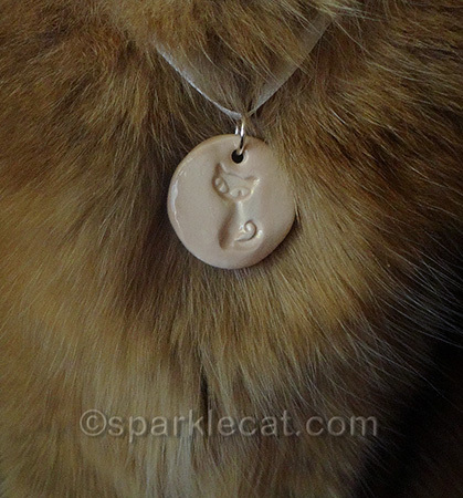 It looks good with my fur!