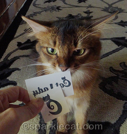 Not chewable, according to my human
