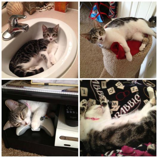 ZoeyCollage