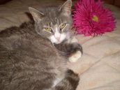 285567_108643372568498_3784149_n