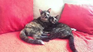 10511461_509589945807170_4944991141118250534_o