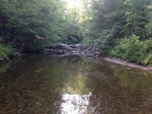 great brook1