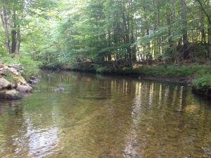 great brook2