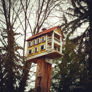 Birdhouse