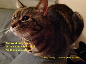 Lexie Haiku
