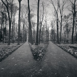 parting_of_the_ways_by_kapanaga-d4fssmv