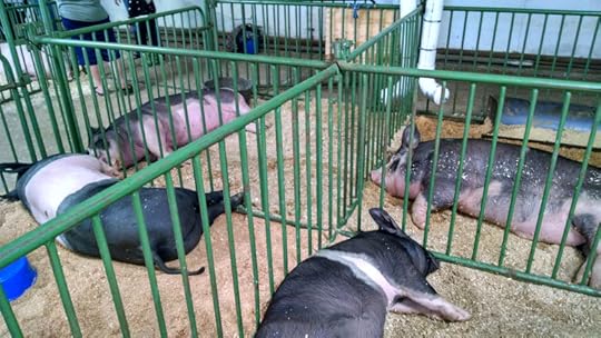 IMG_20150815_144942706_HDR