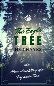 small-eagle-cover